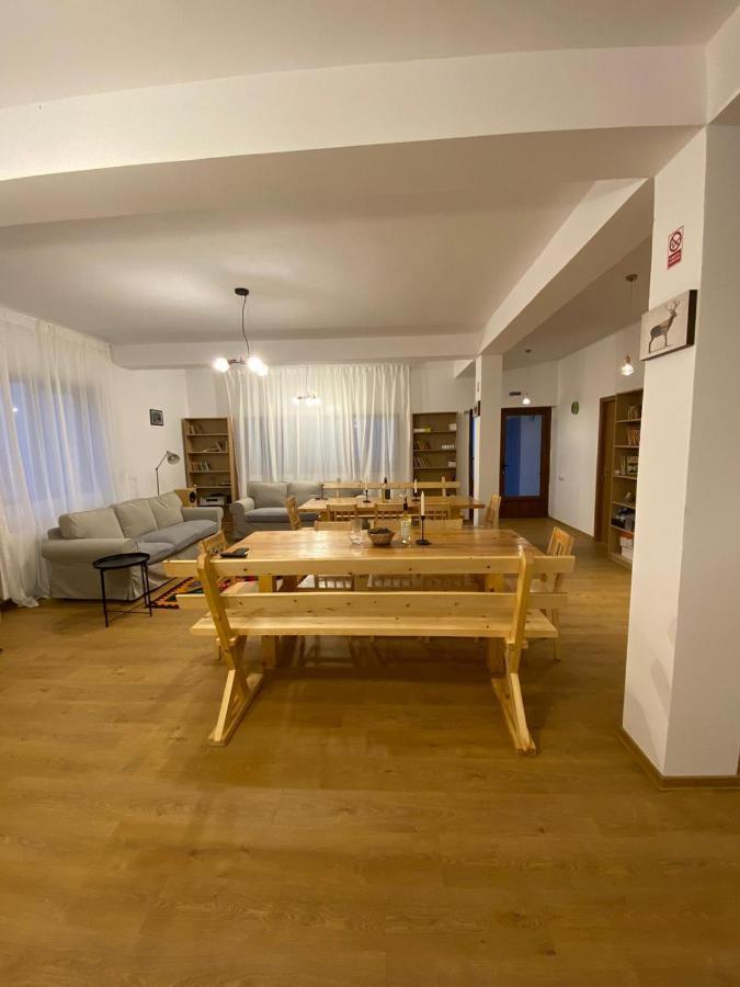 Pensiunea Casuta de la Munte Sfodea Exterior foto