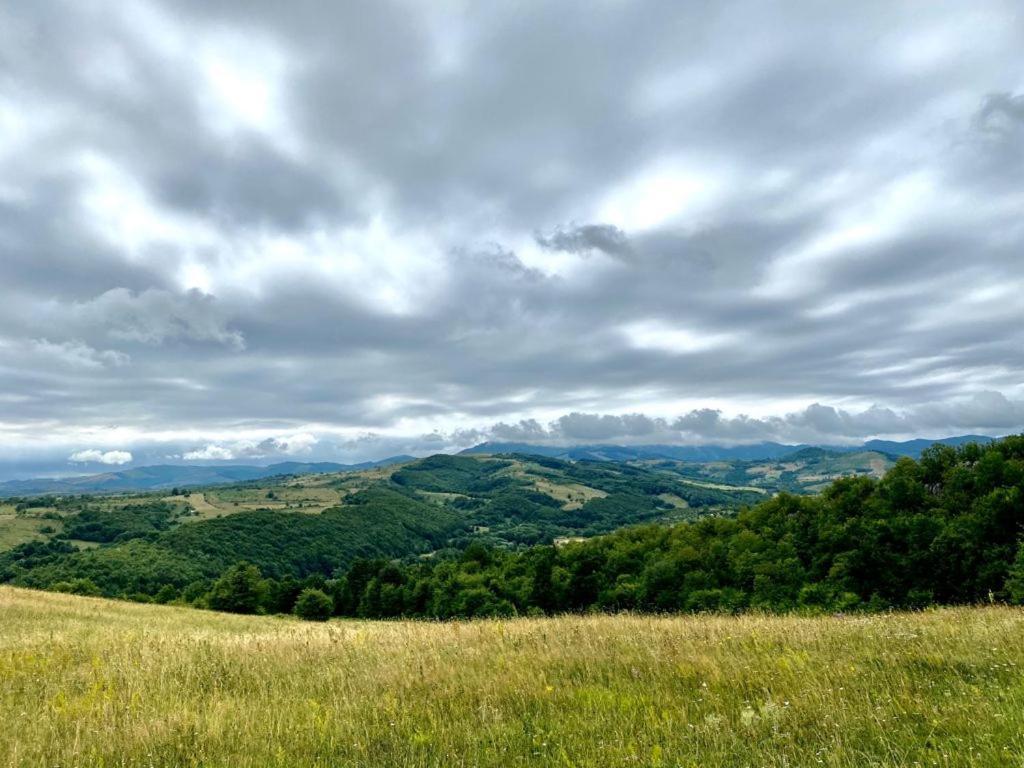 Pensiunea Casuta de la Munte Sfodea Exterior foto