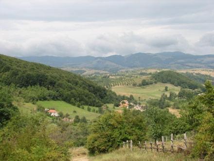 Pensiunea Casuta de la Munte Sfodea Exterior foto